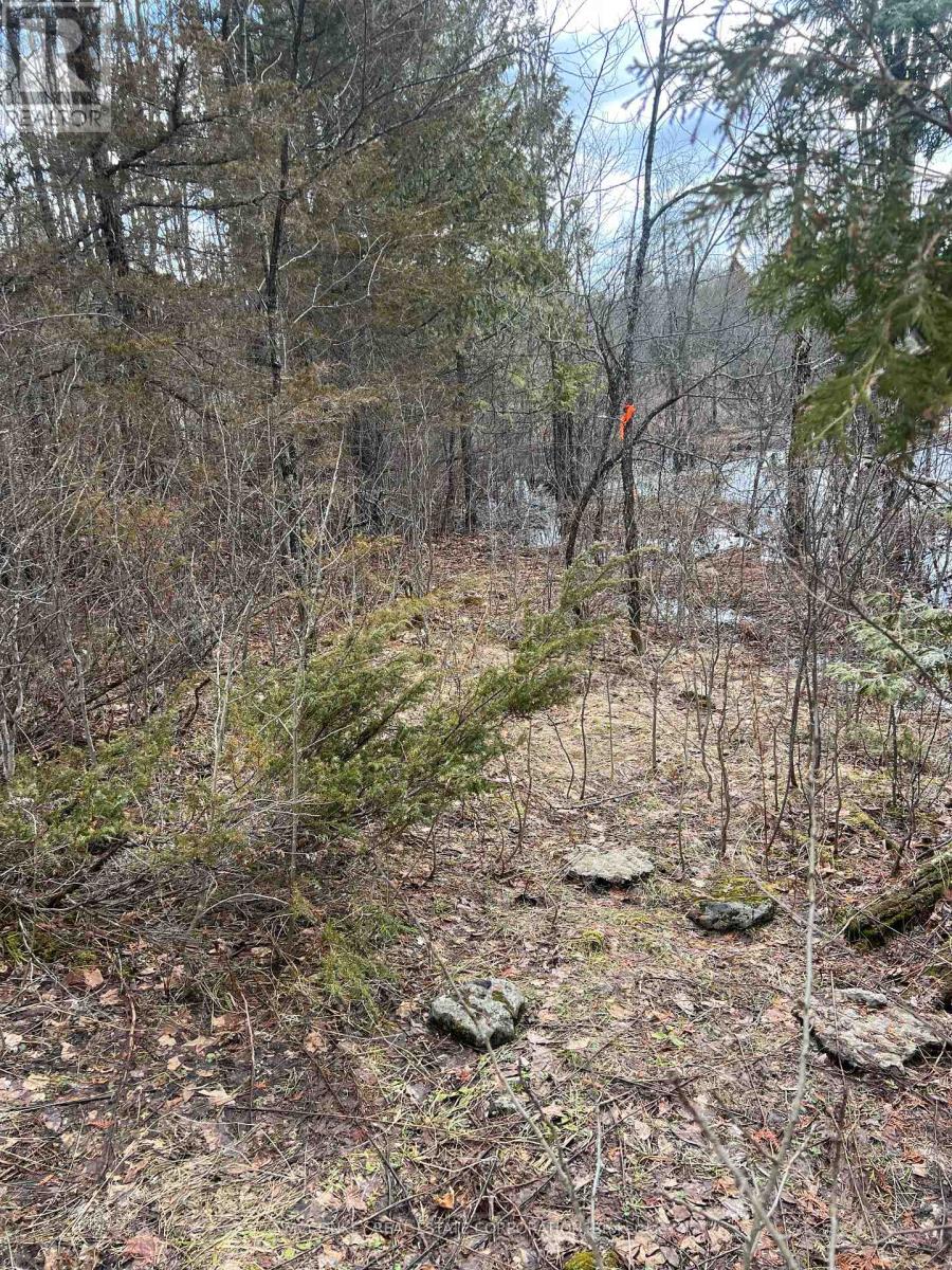 00 N. Dummer 7th Line Road, Douro-Dummer, Ontario K0L 2H0 - Photo 13 - X12976864