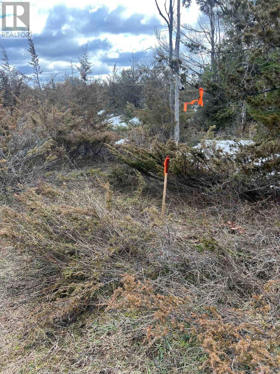 00 N. Dummer 7th Line Road, Douro-Dummer, Ontario K0L 2H0 - Photo 15 - X12976864