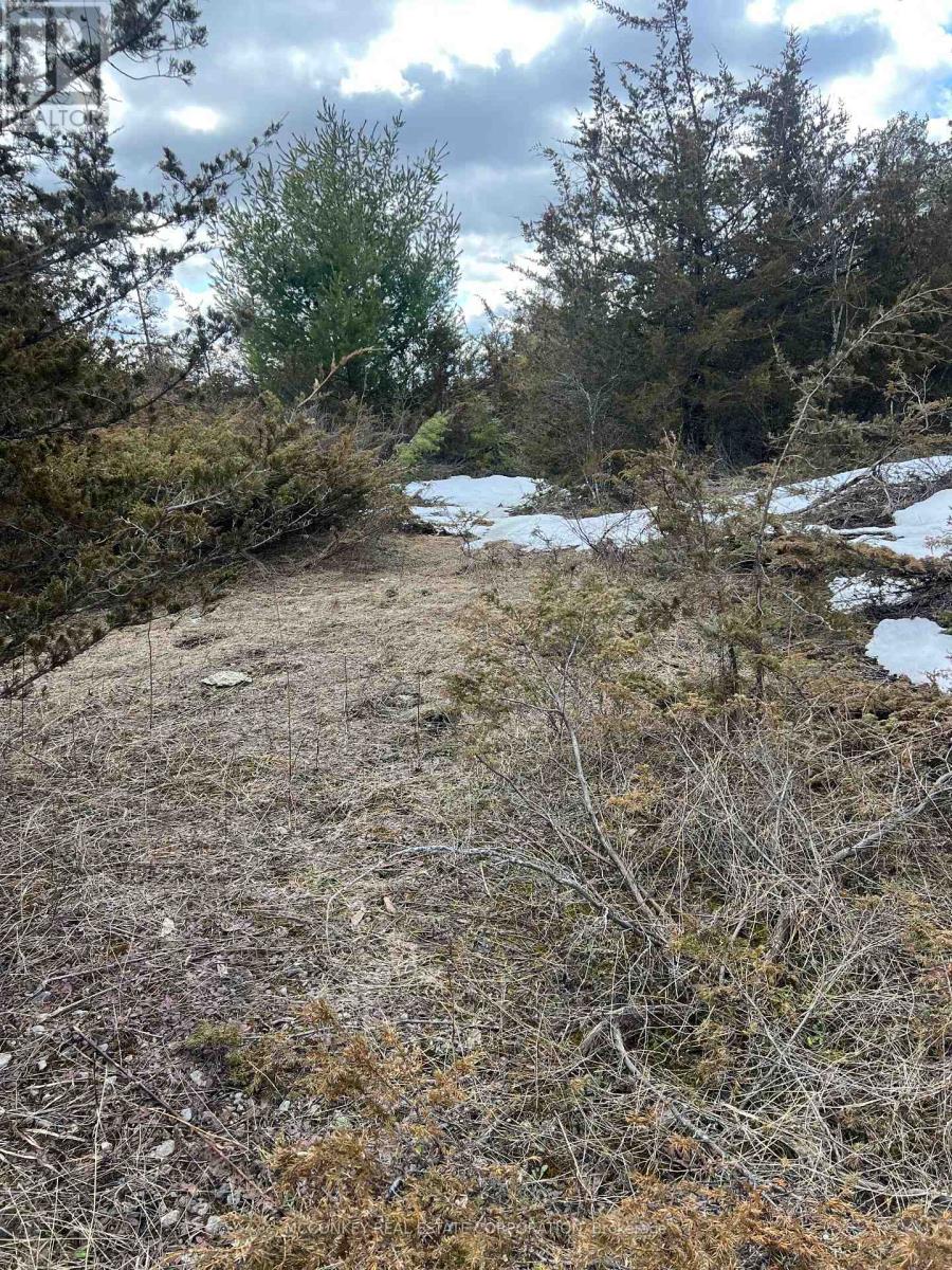 00 N. Dummer 7th Line Road, Douro-Dummer, Ontario K0L 2H0 - Photo 17 - X12976864