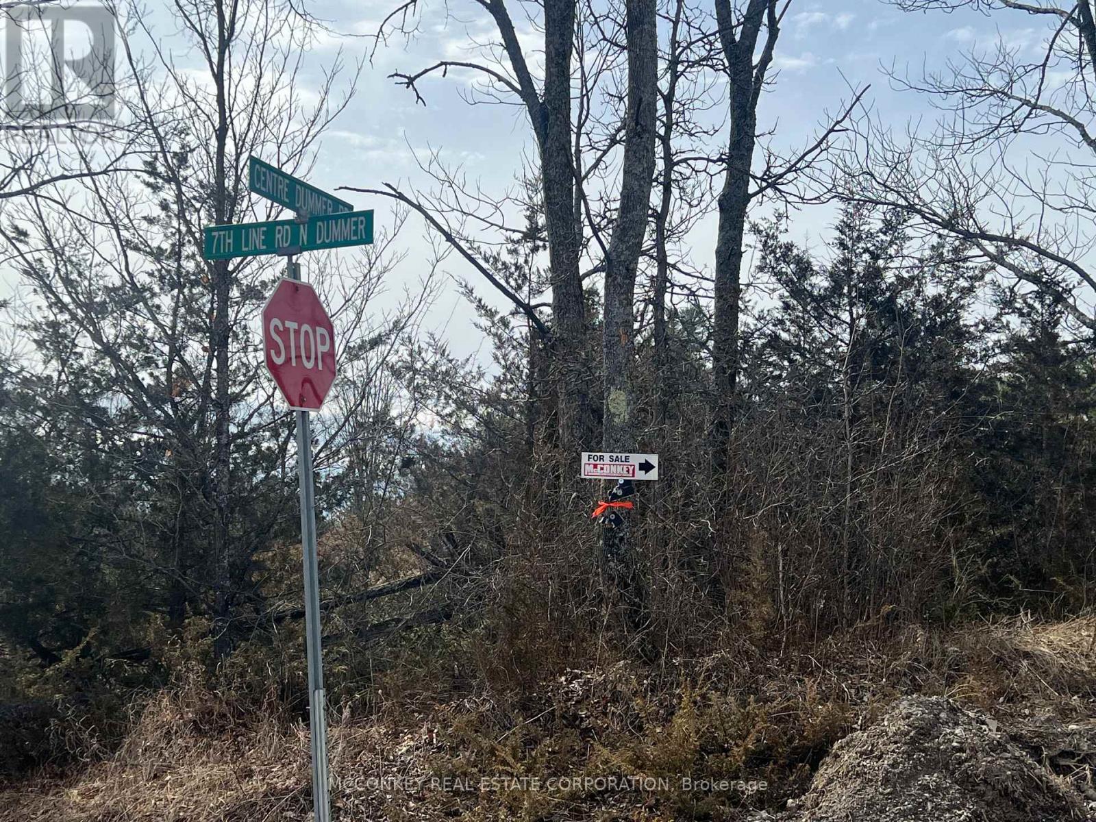 00 N. Dummer 7th Line Road, Douro-Dummer, Ontario K0L 2H0 - Photo 6 - X12976864