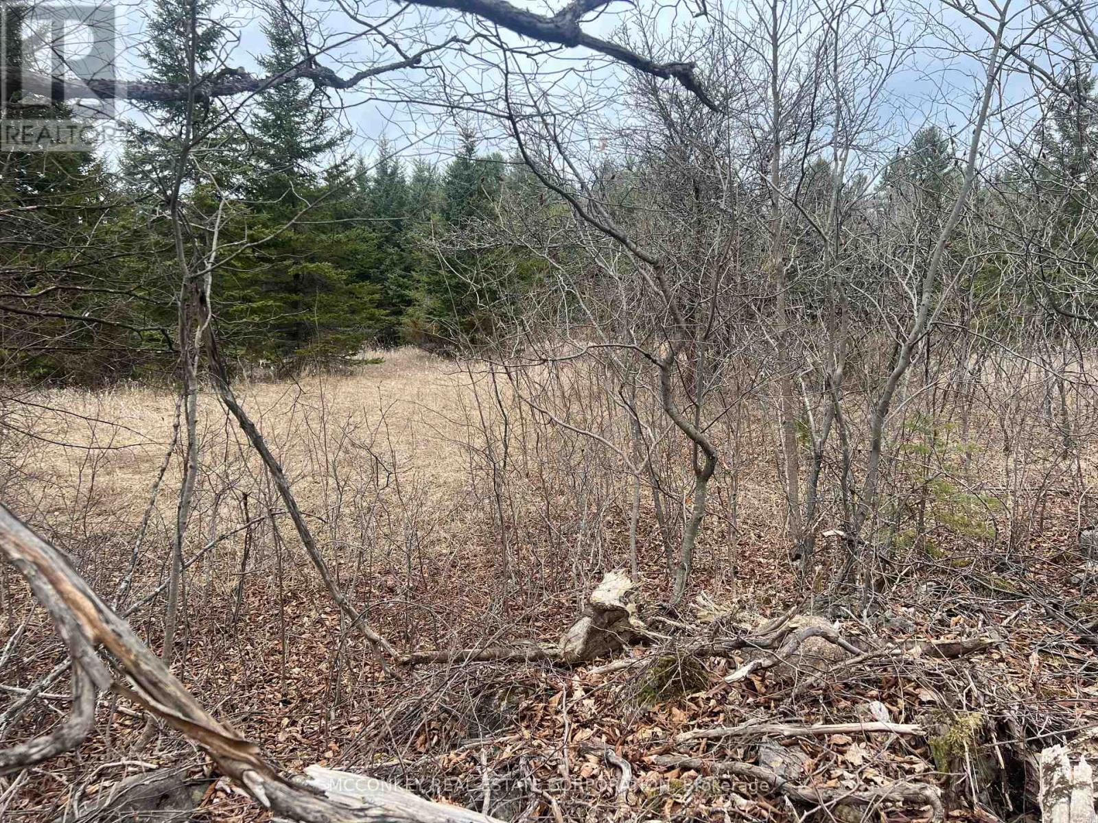 00 N. Dummer 7th Line Road, Douro-Dummer, Ontario K0L 2H0 - Photo 8 - X12976864