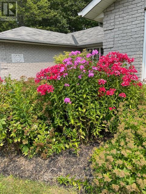 31 The Granite Bluff, Bracebridge, Ontario  P1L 1L4 - Photo 50 - X12977078