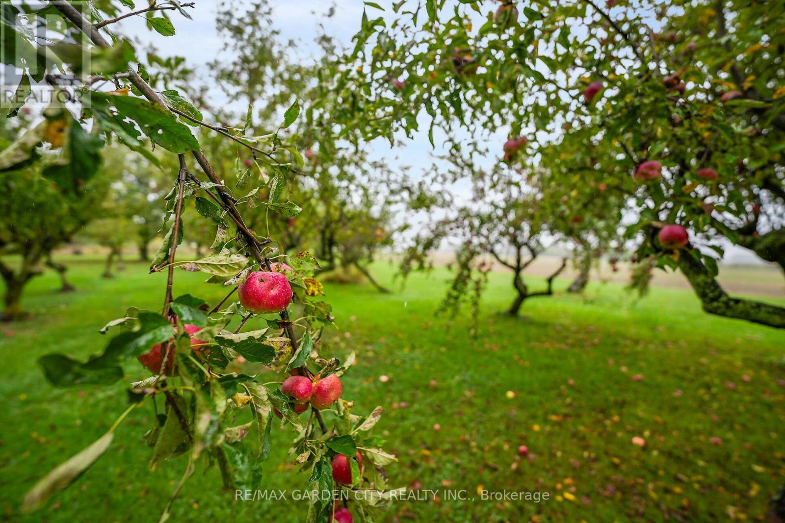 2432 Seburn Road, Thorold, Ontario  L0S 1E6 - Photo 42 - X12977156