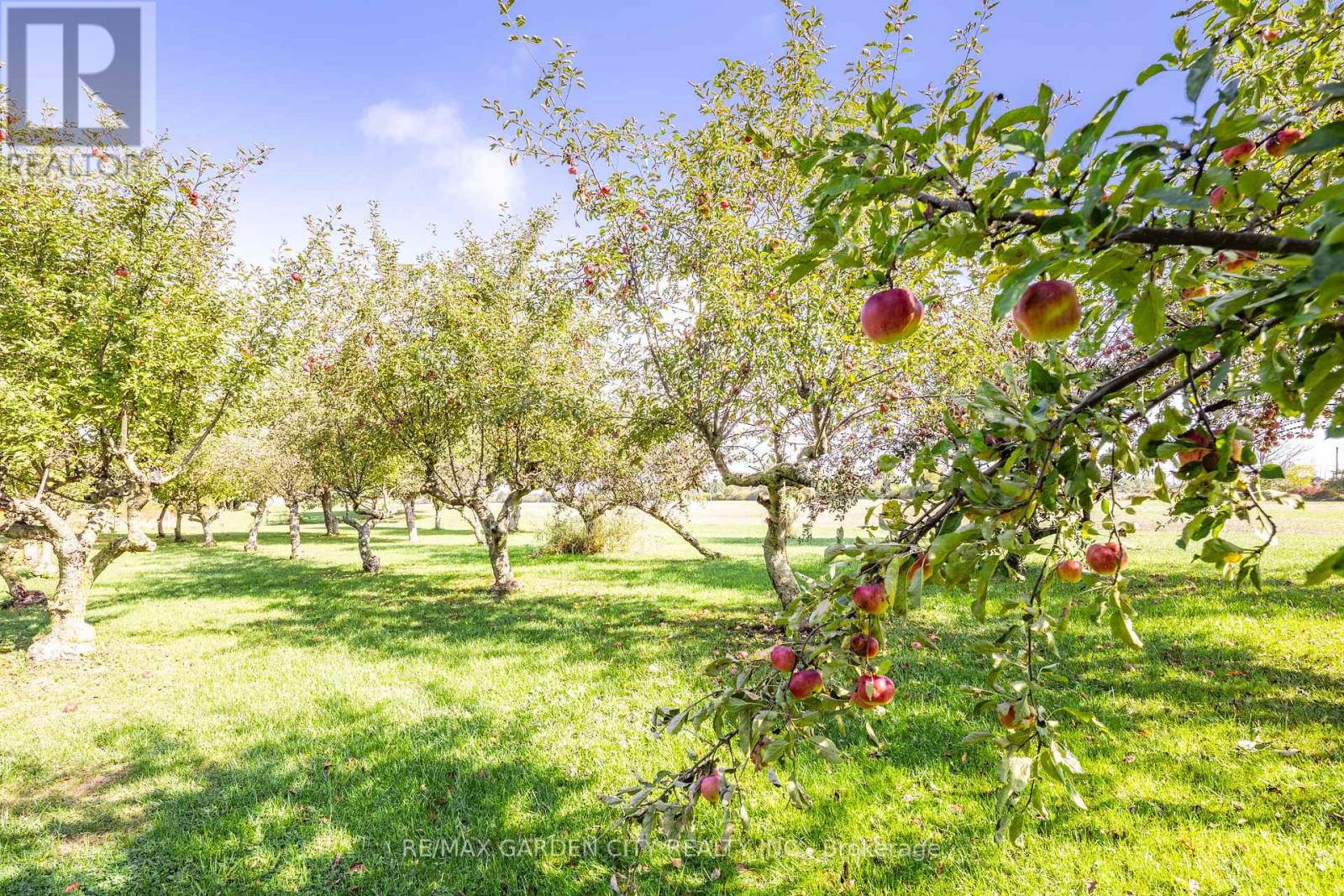 2432 Seburn Road, Thorold, Ontario  L0S 1E6 - Photo 43 - X12977156