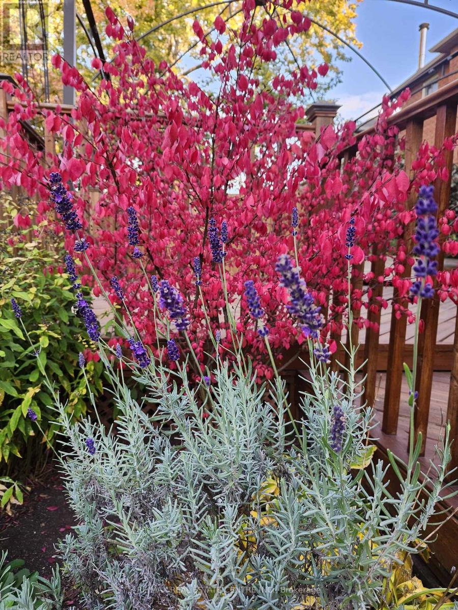 6340 Longspur Road, Mississauga, Ontario  L5N 6G8 - Photo 50 - W12976858