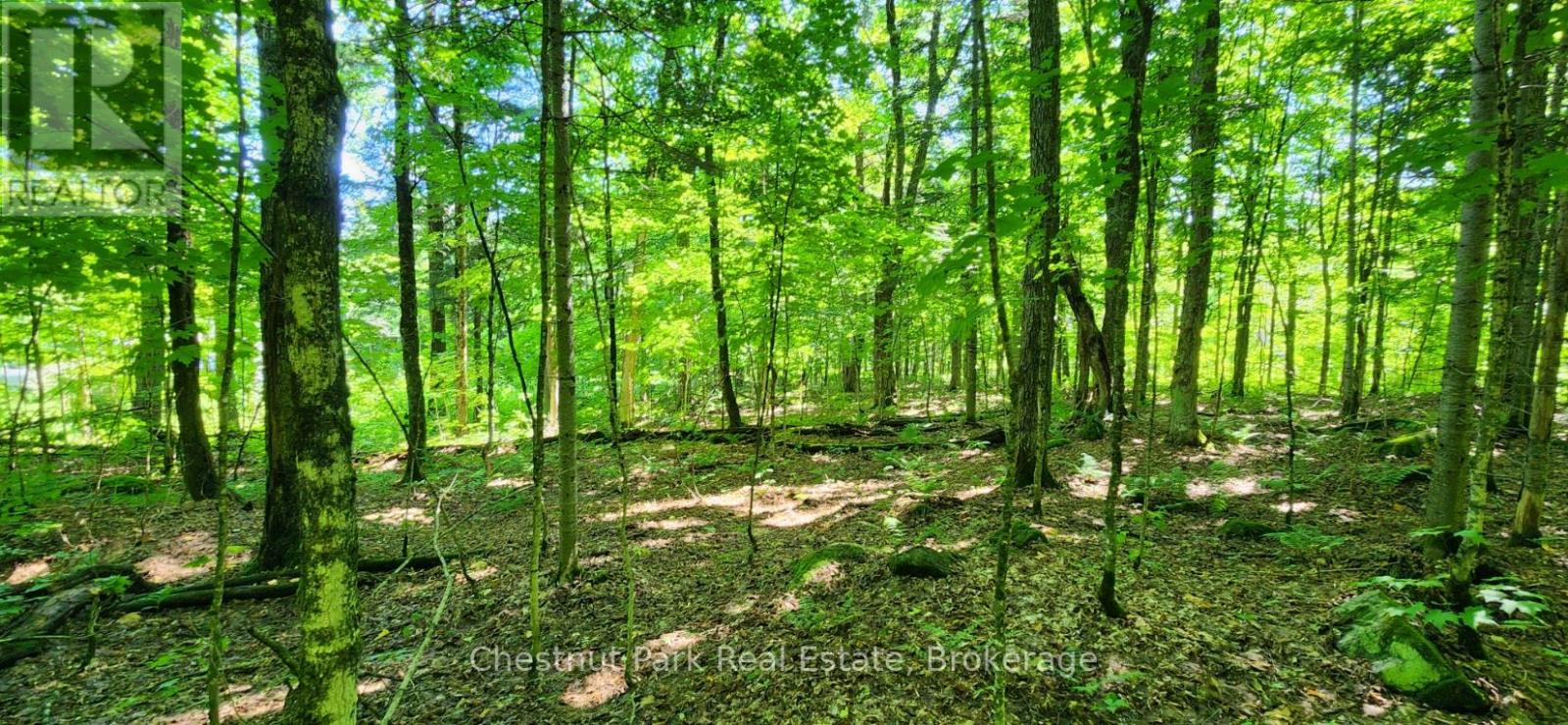 0 SKYLINE DRIVE, Armour, Ontario
