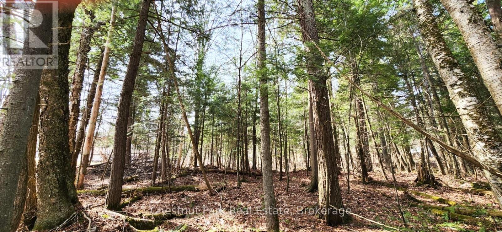 0 Skyline Drive, Armour, Ontario  P0A 1C0 - Photo 10 - X12977276