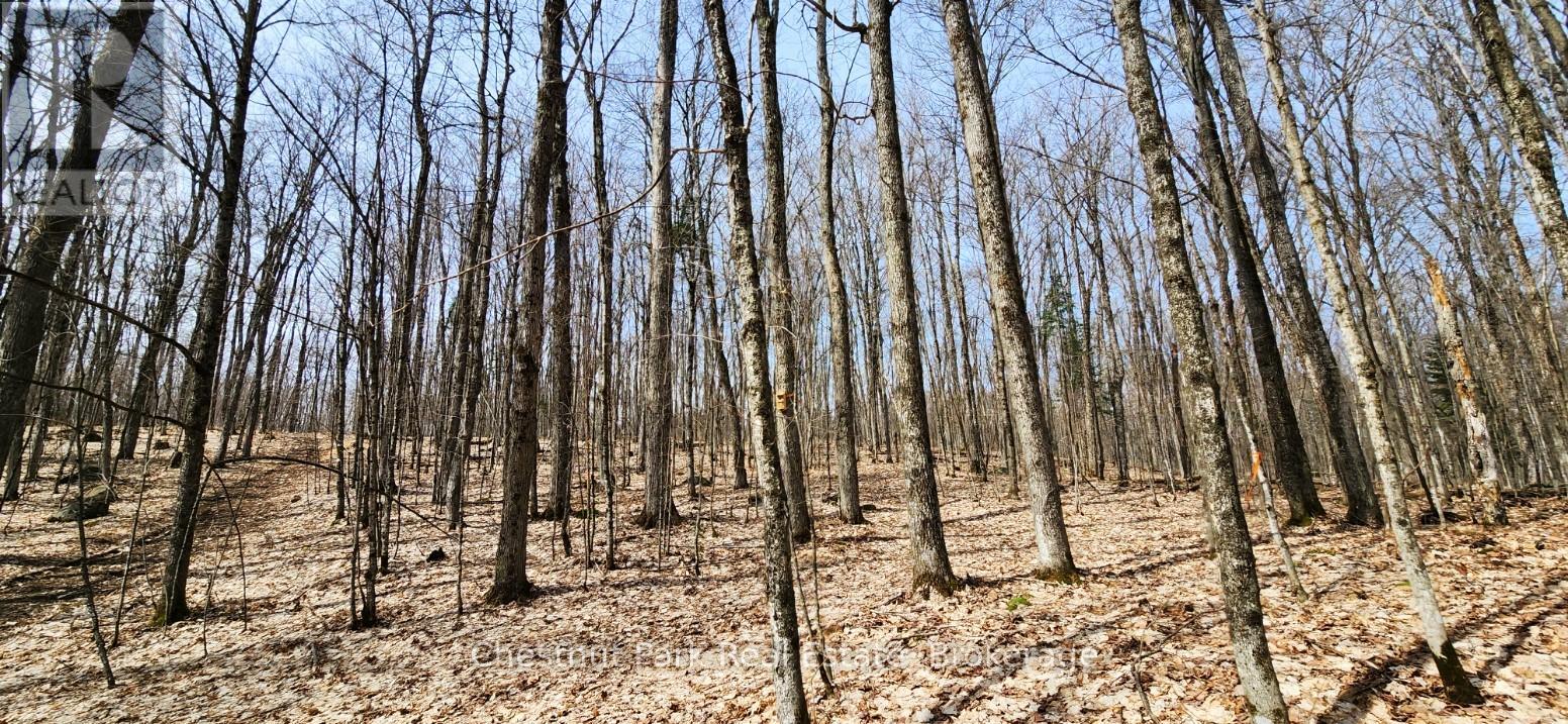 0 Skyline Drive, Armour, Ontario  P0A 1C0 - Photo 12 - X12977276