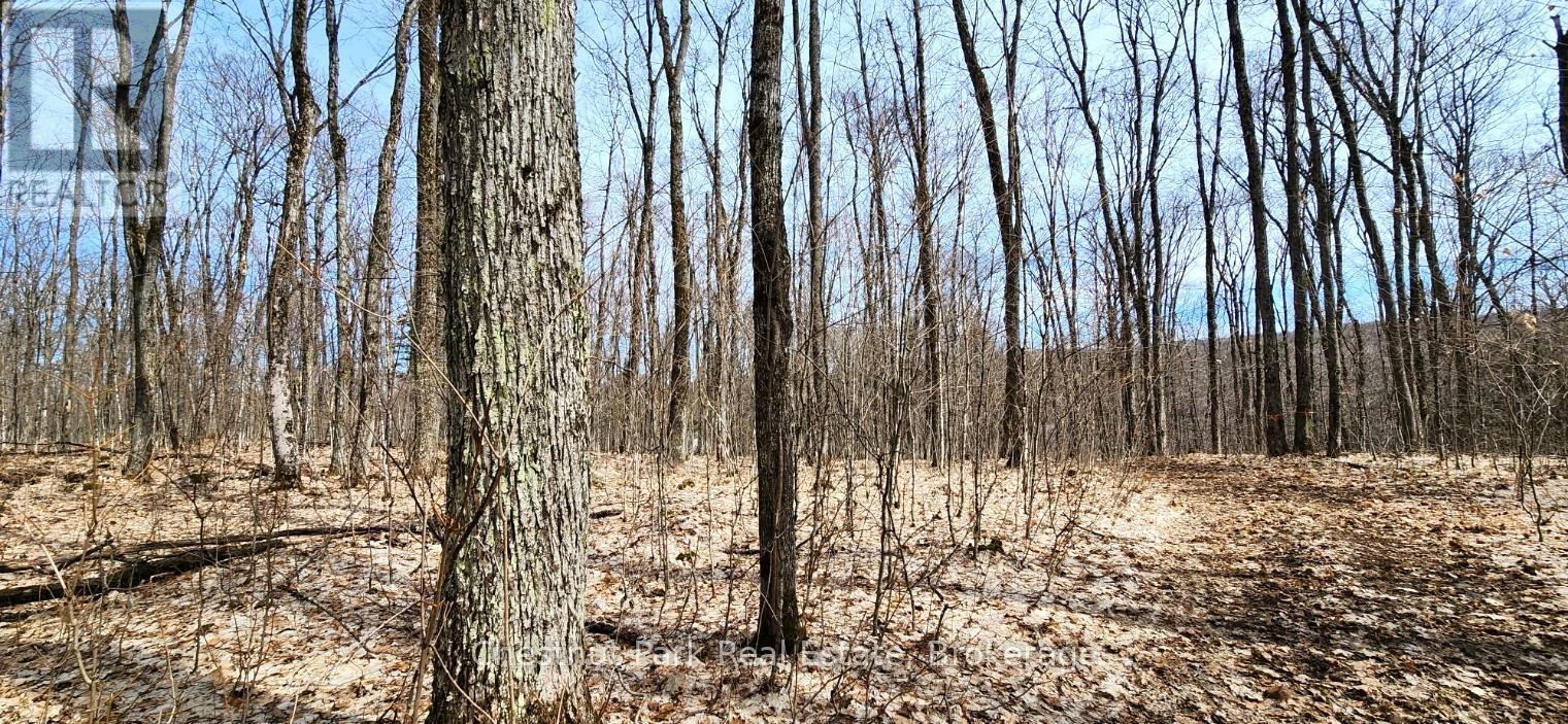 0 Skyline Drive, Armour, Ontario  P0A 1C0 - Photo 13 - X12977276