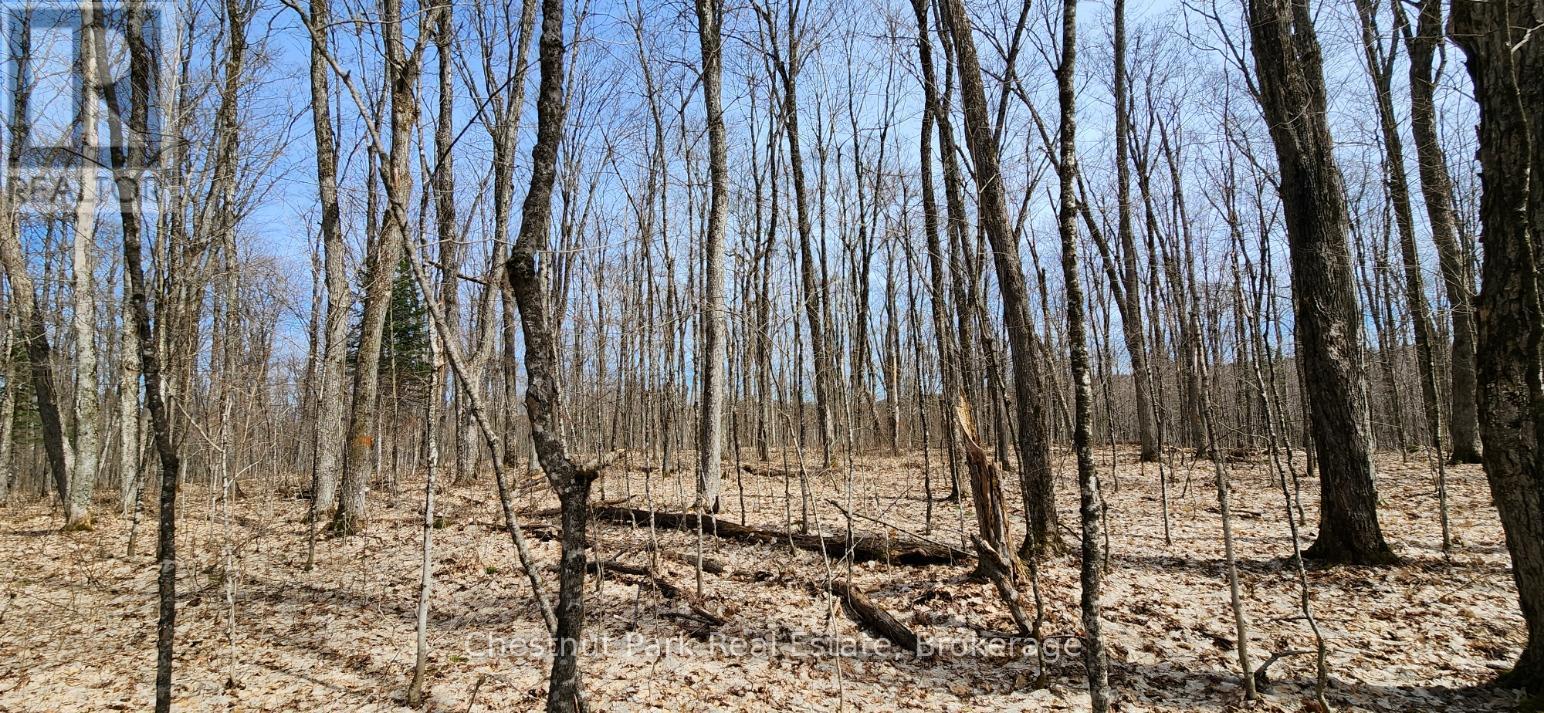 0 Skyline Drive, Armour, Ontario  P0A 1C0 - Photo 14 - X12977276