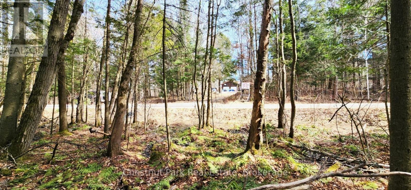 0 Skyline Drive, Armour, Ontario  P0A 1C0 - Photo 15 - X12977276