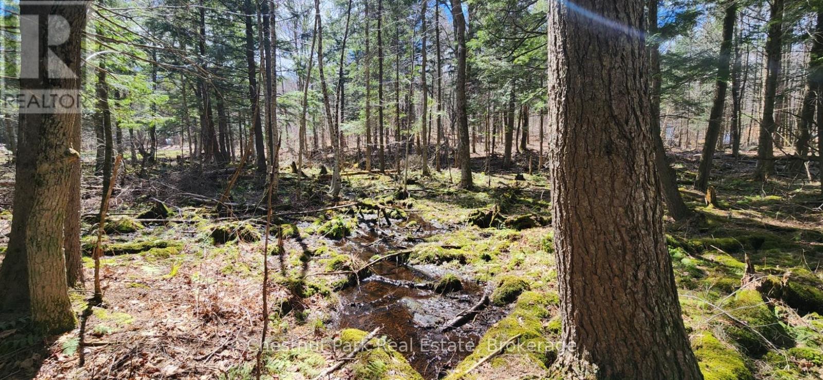0 Skyline Drive, Armour, Ontario  P0A 1C0 - Photo 16 - X12977276