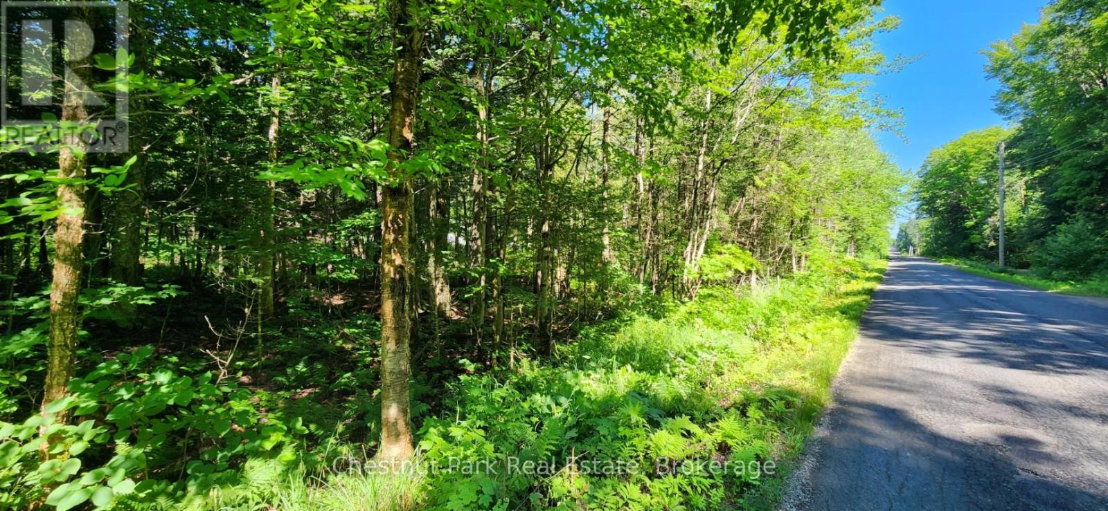 0 Skyline Drive, Armour, Ontario  P0A 1C0 - Photo 3 - X12977276