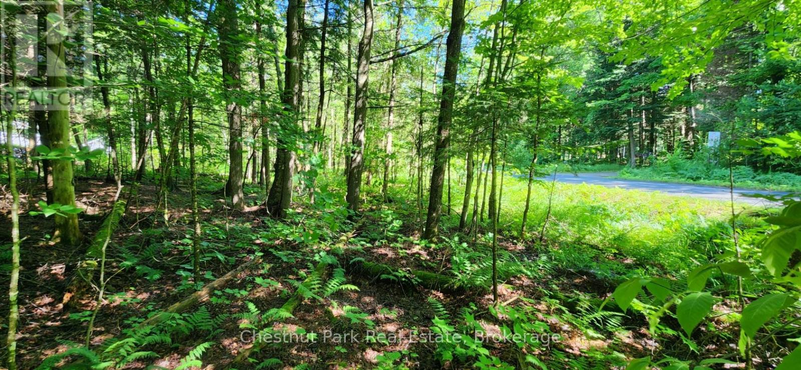0 Skyline Drive, Armour, Ontario  P0A 1C0 - Photo 4 - X12977276