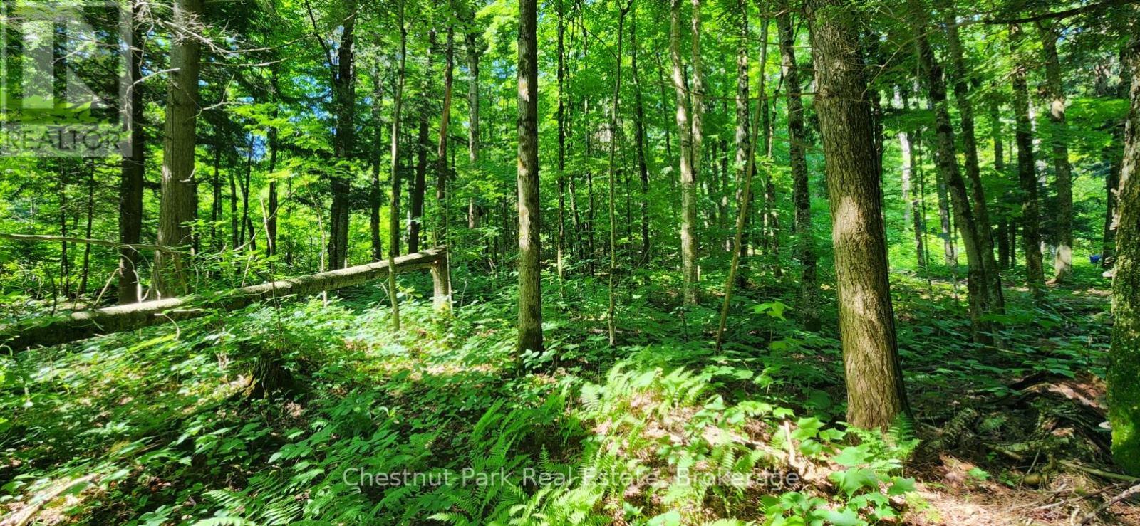 0 Skyline Drive, Armour, Ontario  P0A 1C0 - Photo 5 - X12977276