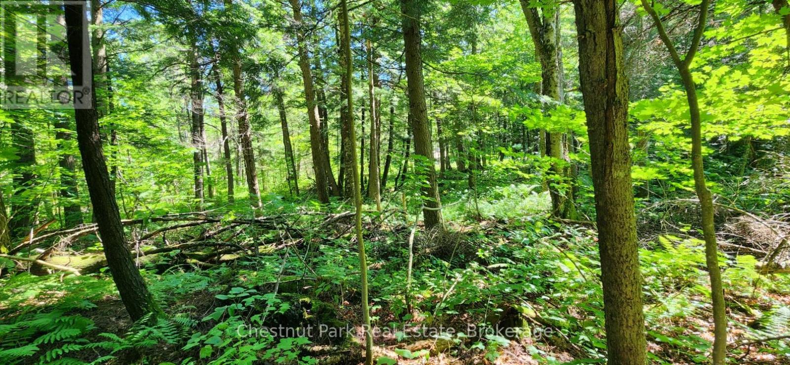 0 Skyline Drive, Armour, Ontario  P0A 1C0 - Photo 6 - X12977276