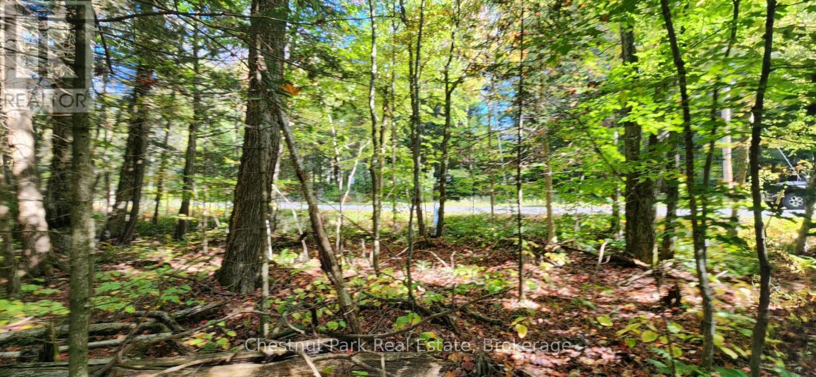 0 Skyline Drive, Armour, Ontario  P0A 1C0 - Photo 8 - X12977276