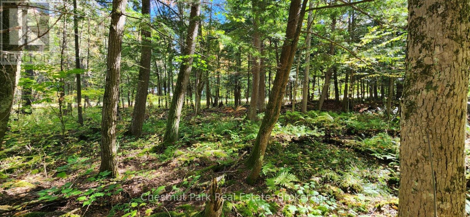 0 Skyline Drive, Armour, Ontario  P0A 1C0 - Photo 9 - X12977276