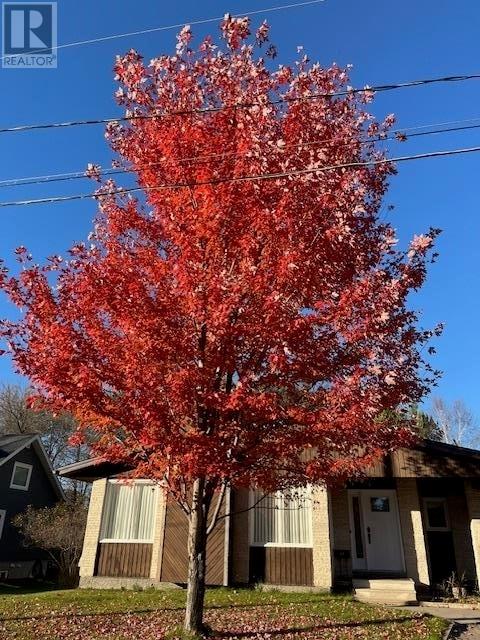 23 Ross St, Dryden, Ontario  P8N 1T9 - Photo 24 - TB2600620