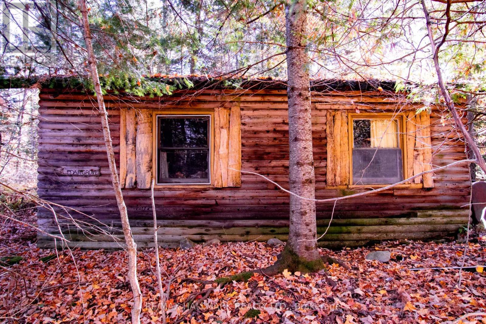 3517 Haliburton Lake Road, Dysart Et Al, Ontario  K0M 1S0 - Photo 23 - X12977350