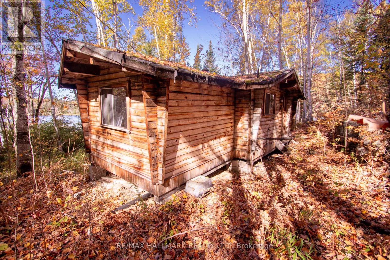 3517 Haliburton Lake Road, Dysart Et Al, Ontario  K0M 1S0 - Photo 26 - X12977350