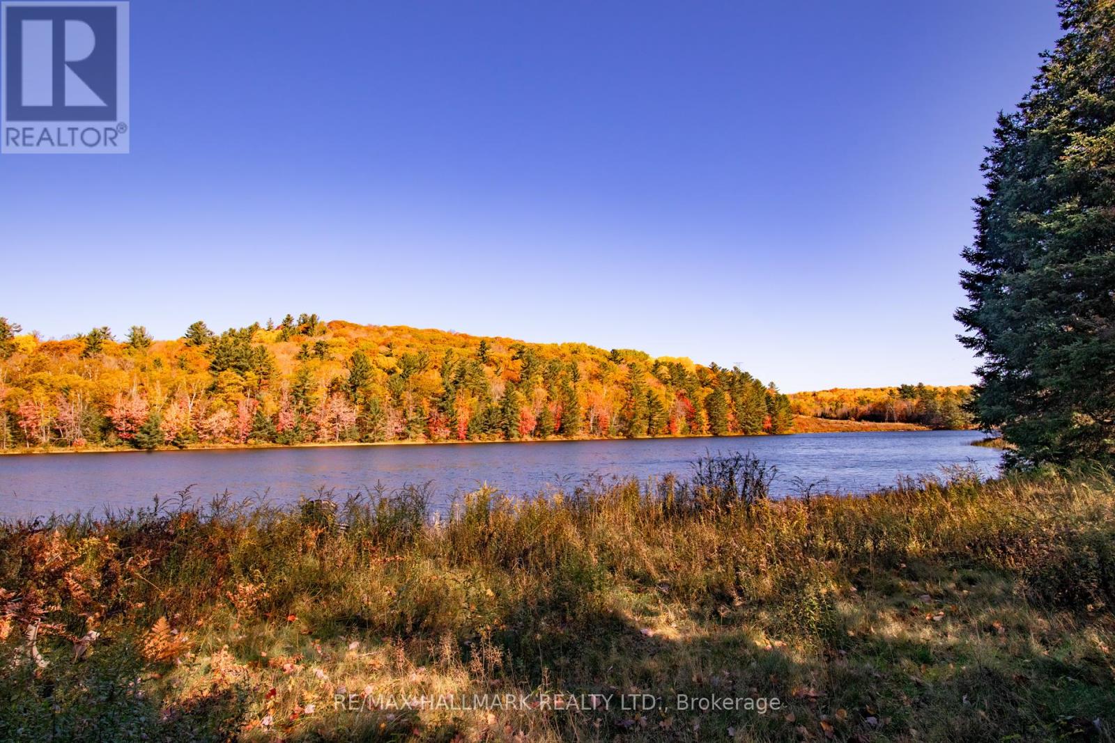 3517 Haliburton Lake Road, Dysart Et Al, Ontario  K0M 1S0 - Photo 29 - X12977350