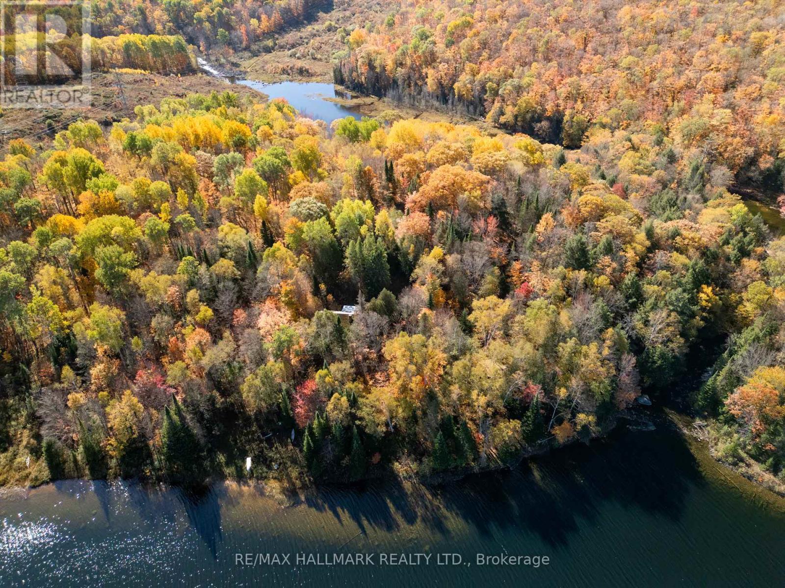 3517 Haliburton Lake Road, Dysart Et Al, Ontario  K0M 1S0 - Photo 7 - X12977350