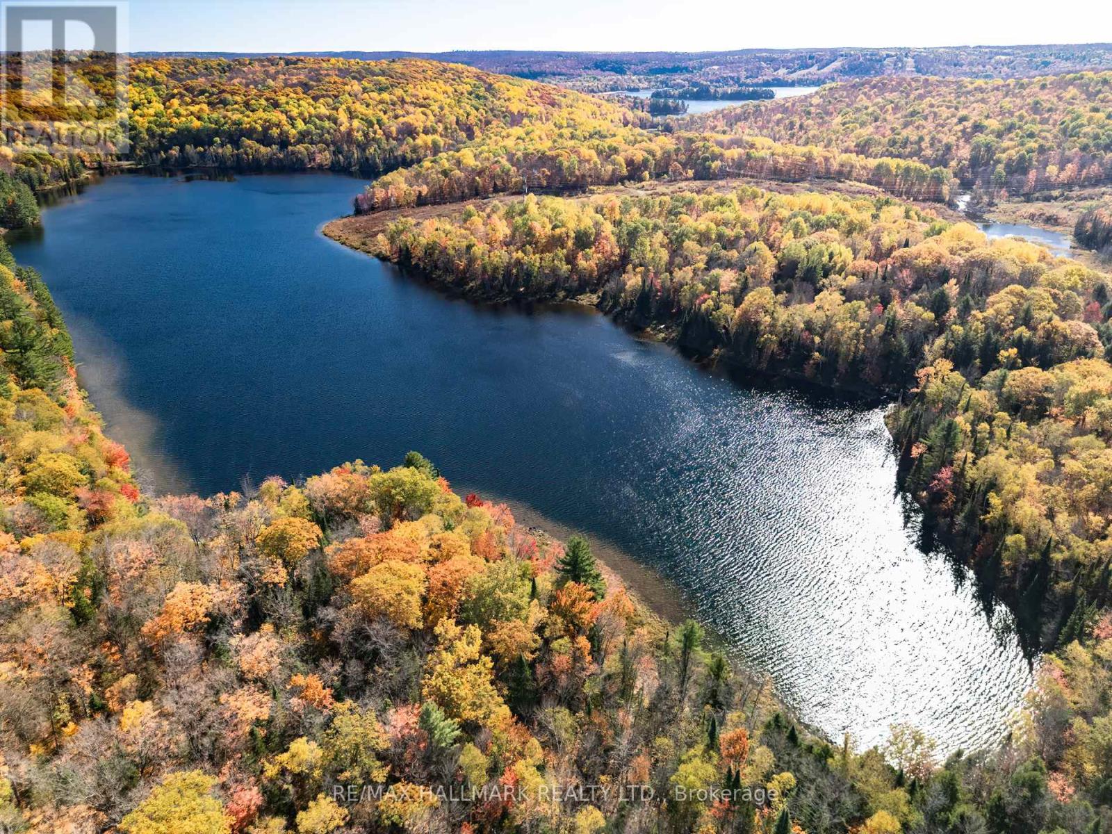 3517 Haliburton Lake Road, Dysart Et Al, Ontario  K0M 1S0 - Photo 9 - X12977350