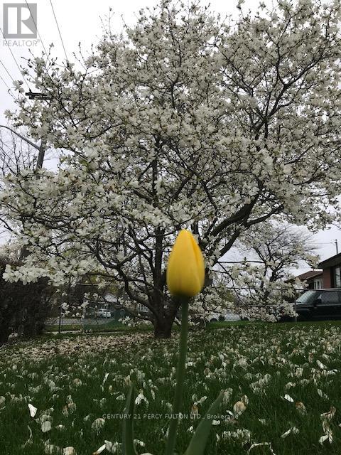 421 Painted Post Drive, Toronto, Ontario  M1G 2M7 - Photo 32 - E12976318