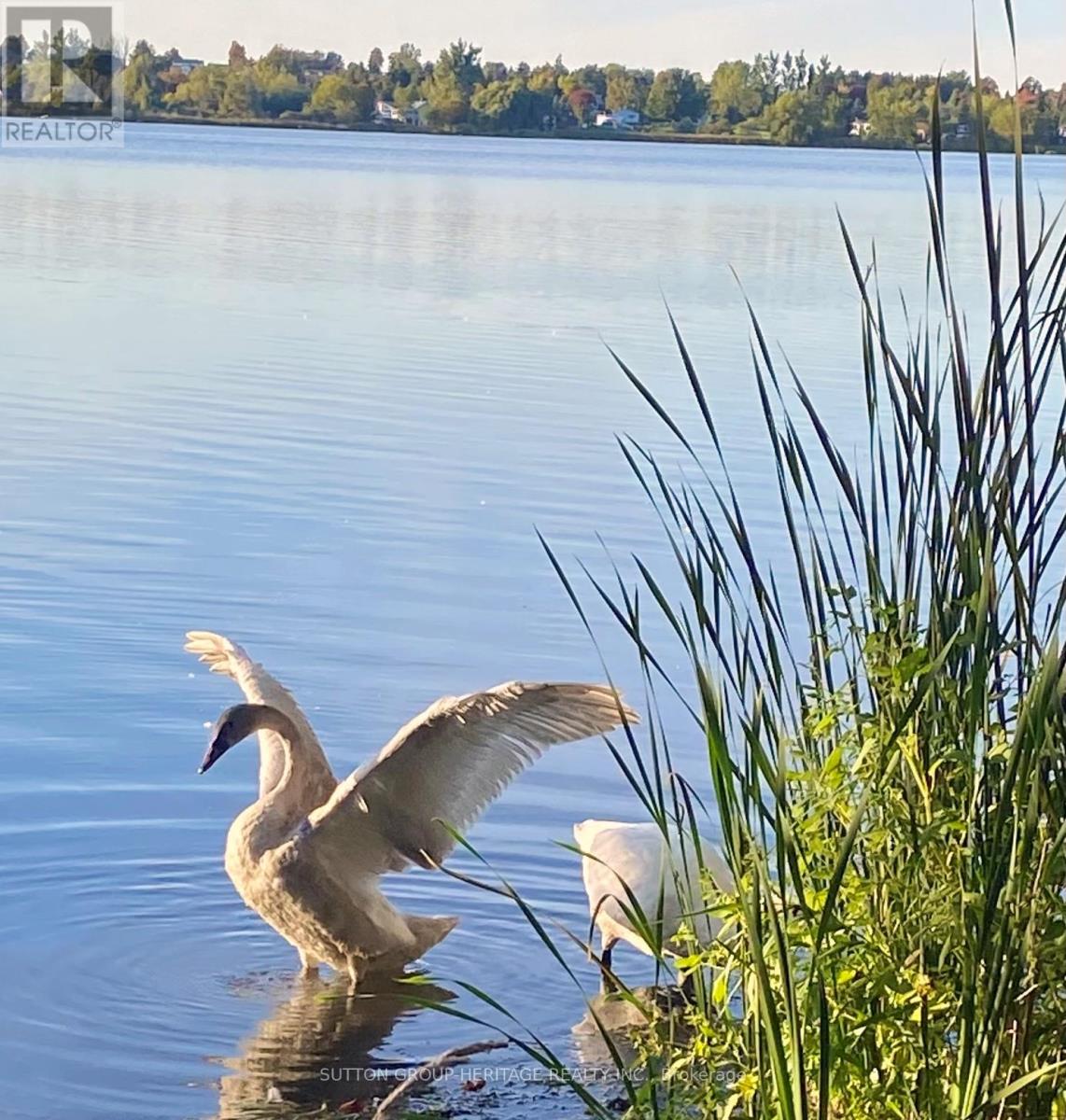 499 Fralicks Beach Road, Scugog, Ontario  L9L 1B6 - Photo 47 - E12975618