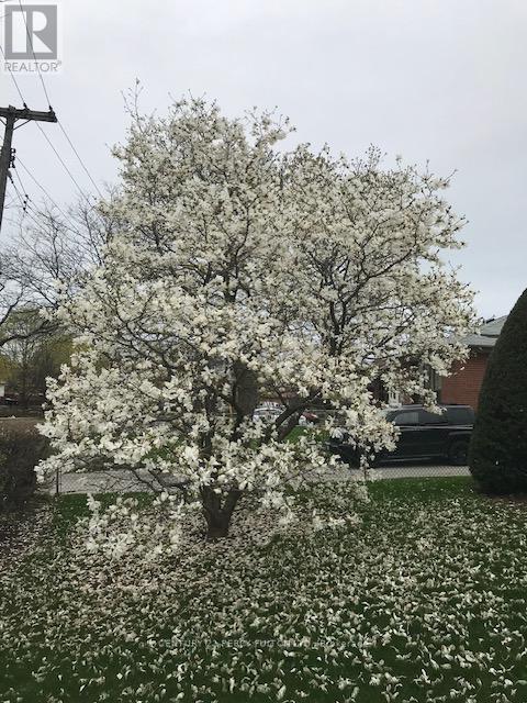 421 Painted Post Drive, Toronto, Ontario  M1G 2M7 - Photo 31 - E12976318