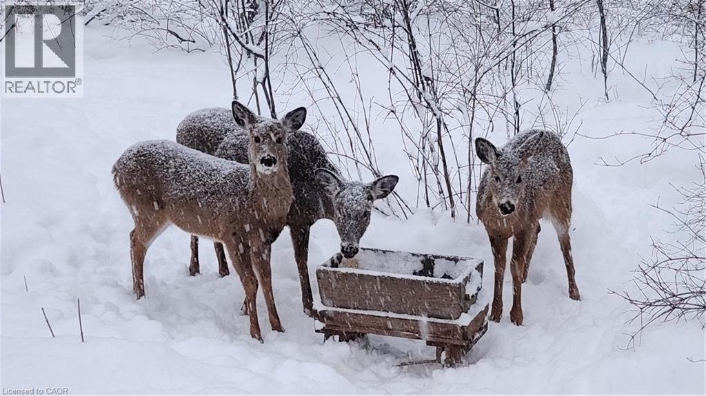 220 Salisbury Avenue Unit# 23, Cambridge, Ontario  N1S 1K5 - Photo 40 - 40808722