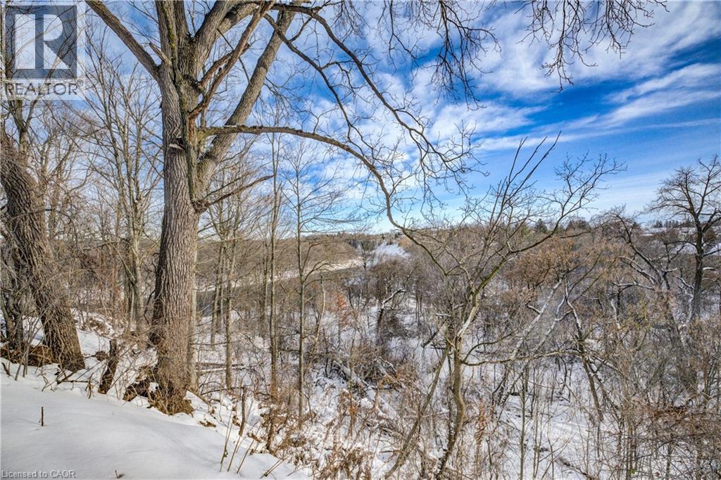 54 Roos Street, Kitchener, Ontario N2P 1H9 - Photo 5 - 40818074