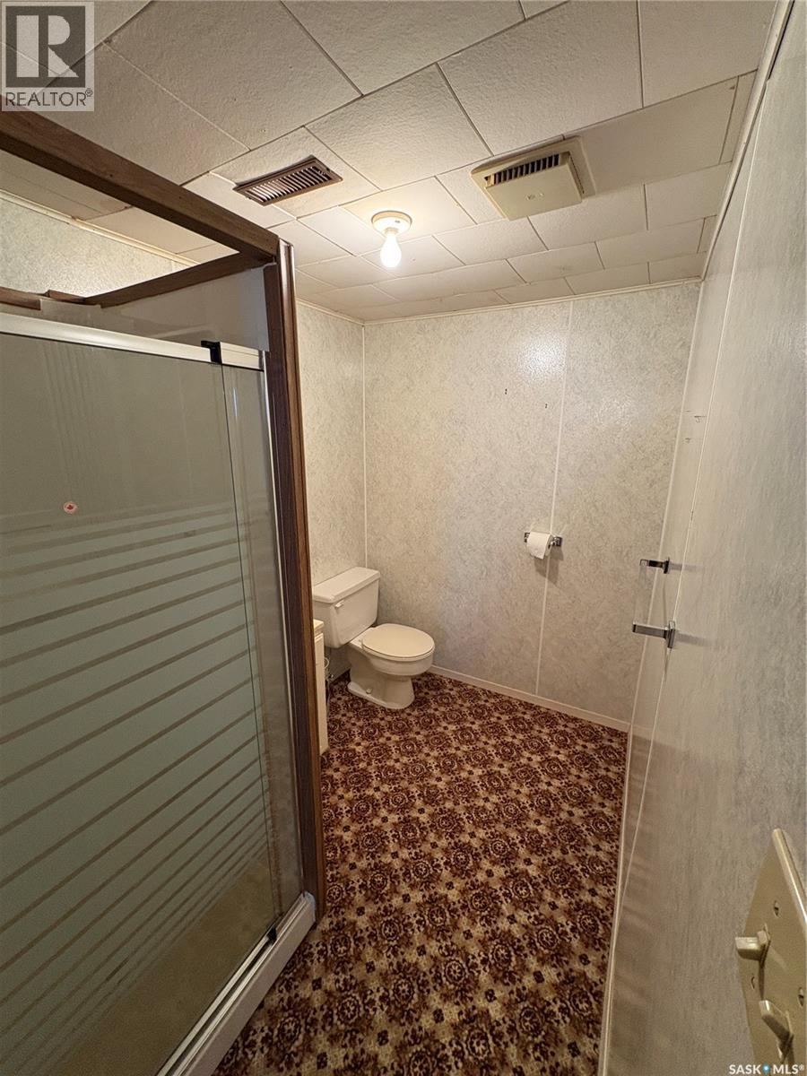 307 Carl Avenue E, Langenburg, Saskatchewan  S0A 2A0 - Photo 17 - SK032473
