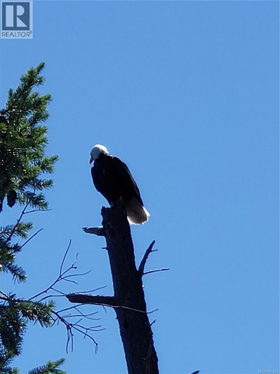 1252 Isabella Point Rd, Salt Spring, British Columbia  V8K 2T9 - Photo 55 - 1023704