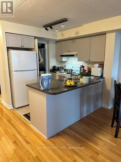 310 - 33 Elm Drive, Mississauga, Ontario  L5B 4M2 - Photo 2 - W12862598