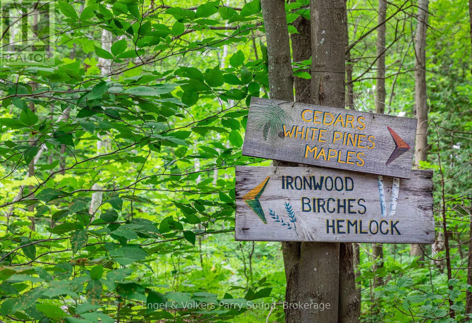 6 Harmony Lane, Parry Sound, Ontario P2A 0B1 - Photo 38 - X12977886