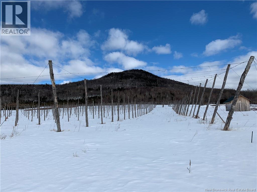 116 Maplehurst Road, Maplehurst, New Brunswick  E7J 1S1 - Photo 12 - NB136402