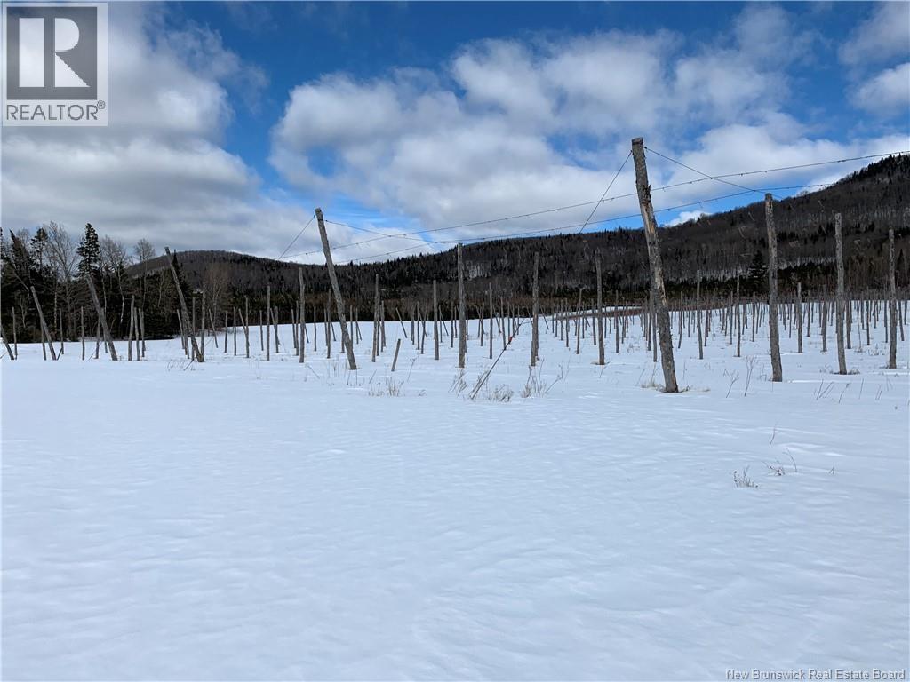 116 Maplehurst Road, Maplehurst, New Brunswick  E7J 1S1 - Photo 13 - NB136402