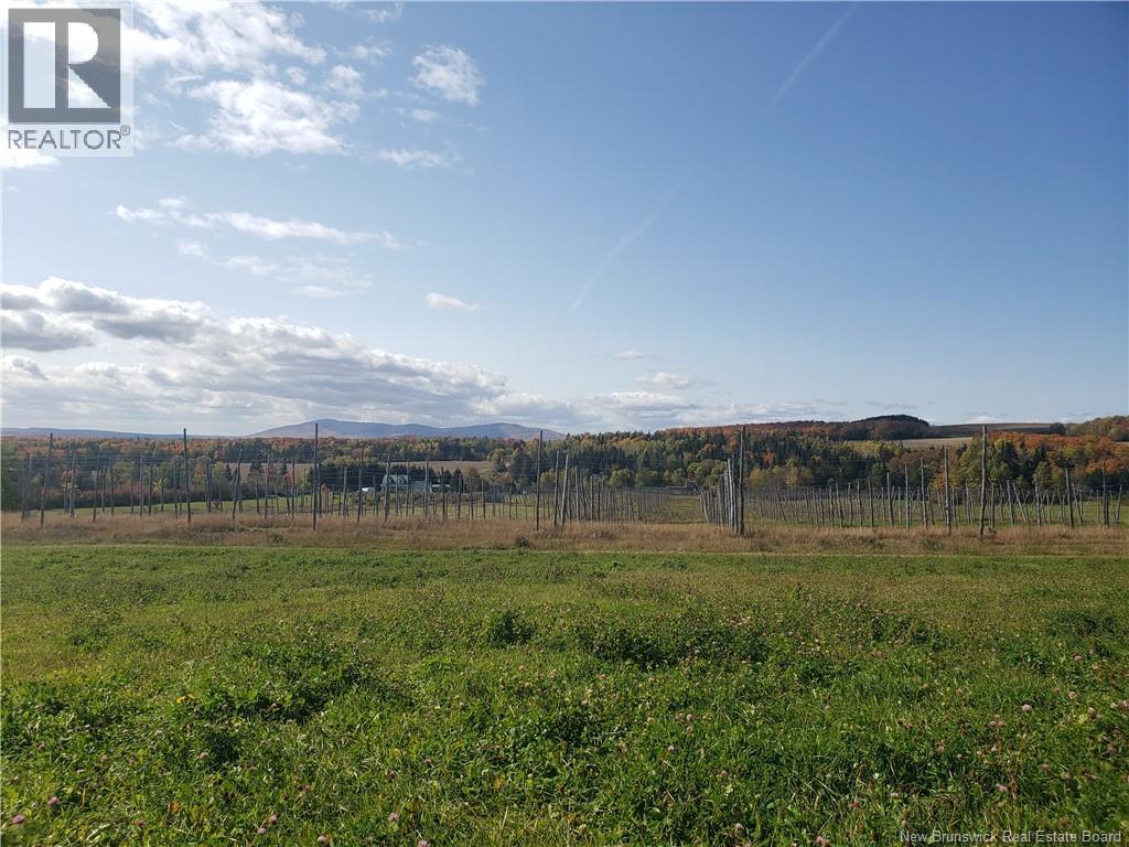 116 Maplehurst Road, Maplehurst, New Brunswick  E7J 1S1 - Photo 9 - NB136402