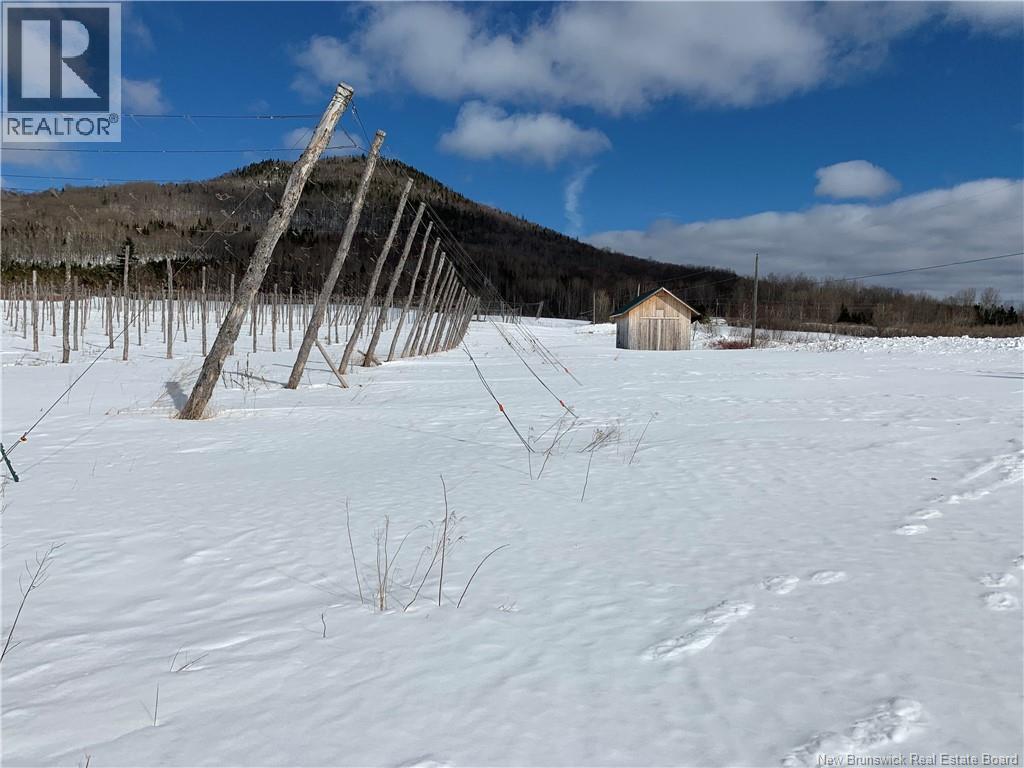 116 Maplehurst Road, Maplehurst, New Brunswick  E7J 1S1 - Photo 11 - NB136402