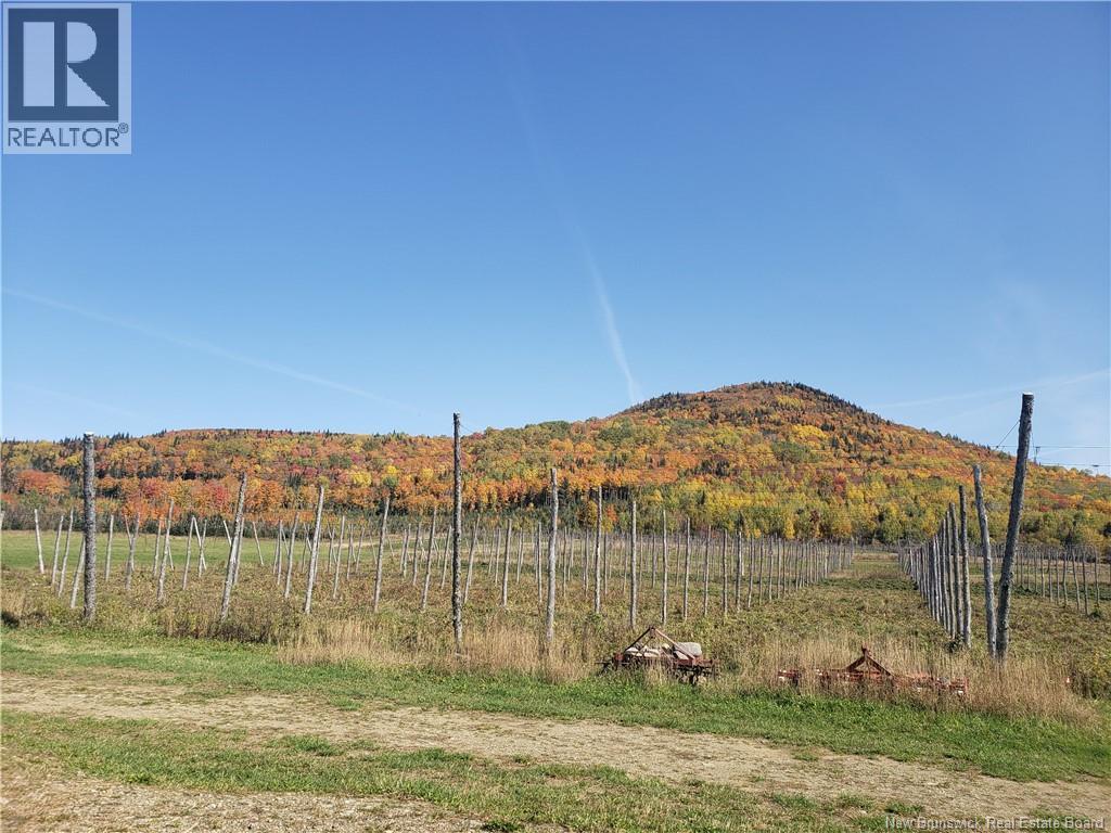 116 Maplehurst Road, Maplehurst, New Brunswick  E7J 1S1 - Photo 3 - NB136402