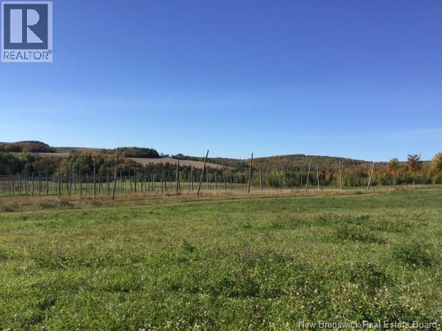 116 Maplehurst Road, Maplehurst, New Brunswick  E7J 1S1 - Photo 7 - NB136402