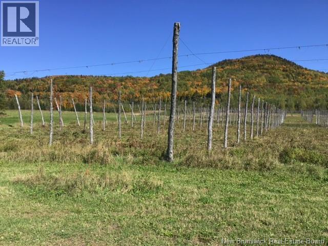 116 Maplehurst Road, Maplehurst, New Brunswick  E7J 1S1 - Photo 2 - NB136402