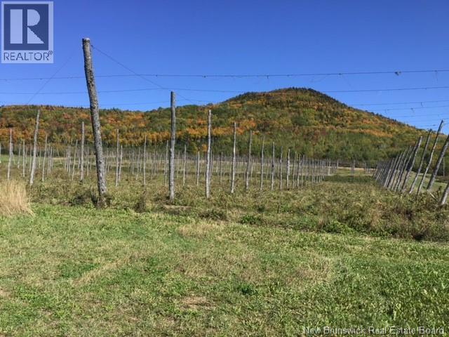 116 Maplehurst Road, Maplehurst, New Brunswick  E7J 1S1 - Photo 8 - NB136402