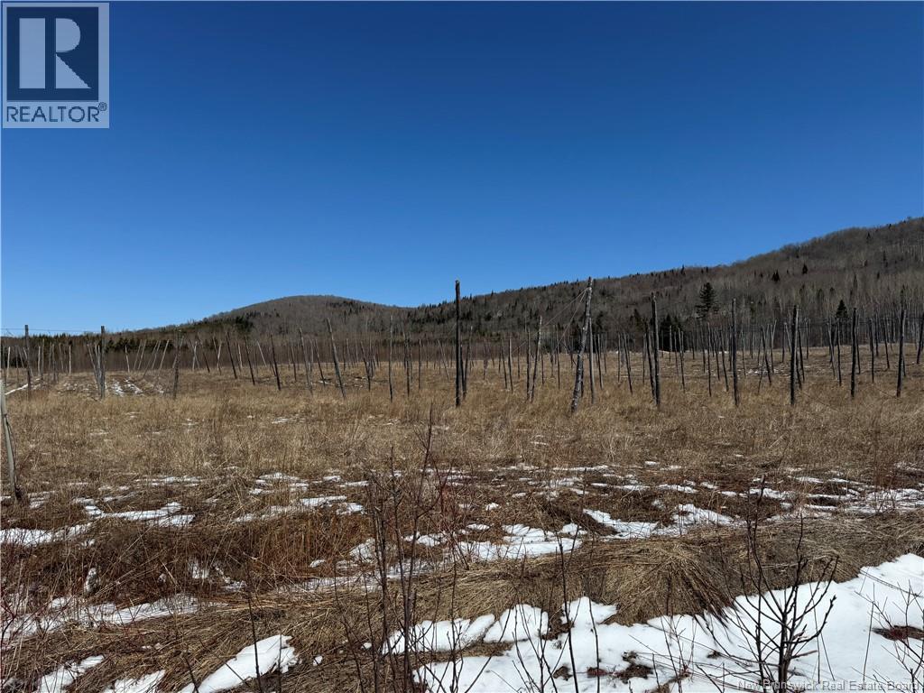 116 Maplehurst Road, Maplehurst, New Brunswick  E7J 1S1 - Photo 17 - NB136402