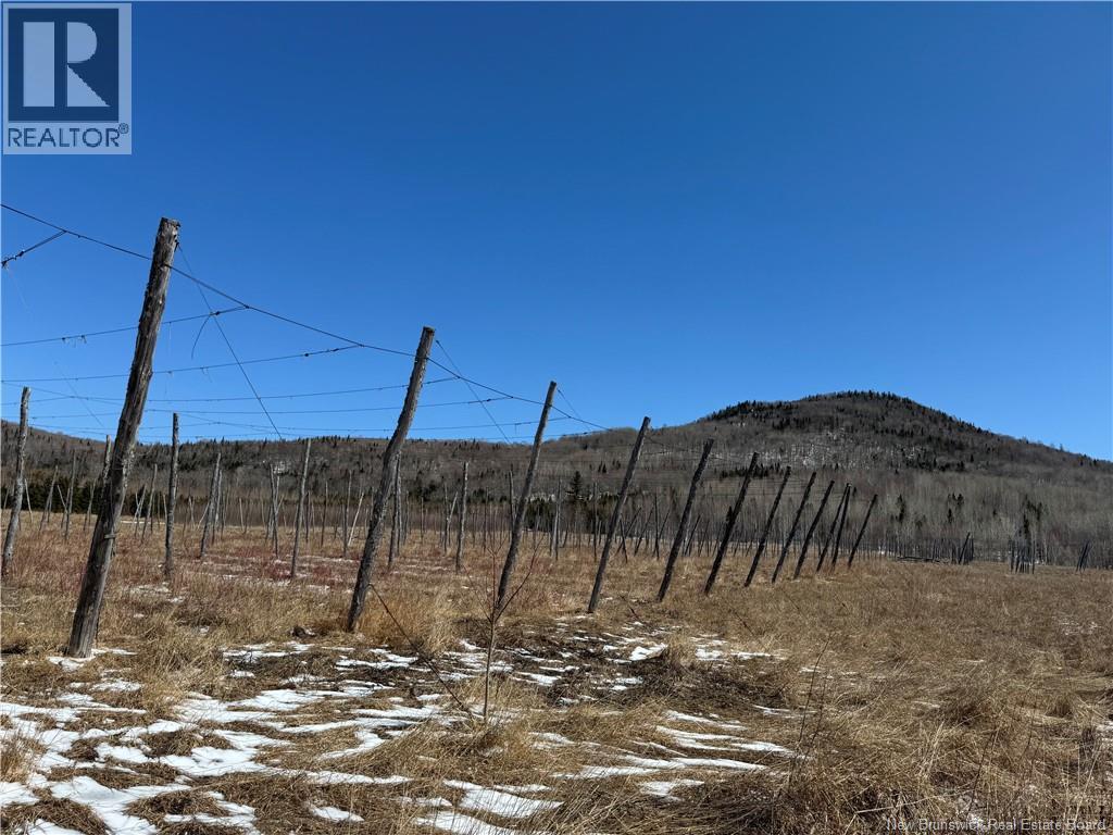 116 Maplehurst Road, Maplehurst, New Brunswick  E7J 1S1 - Photo 18 - NB136402