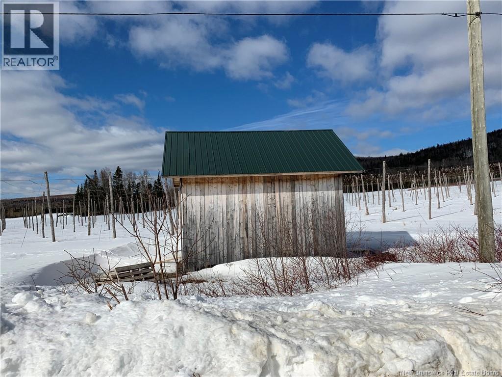 116 Maplehurst Road, Maplehurst, New Brunswick  E7J 1S1 - Photo 15 - NB136402