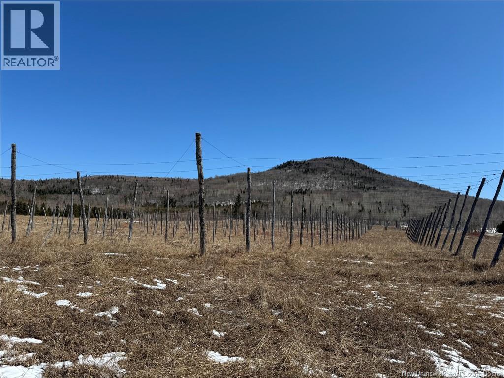 116 Maplehurst Road, Maplehurst, New Brunswick  E7J 1S1 - Photo 24 - NB136402