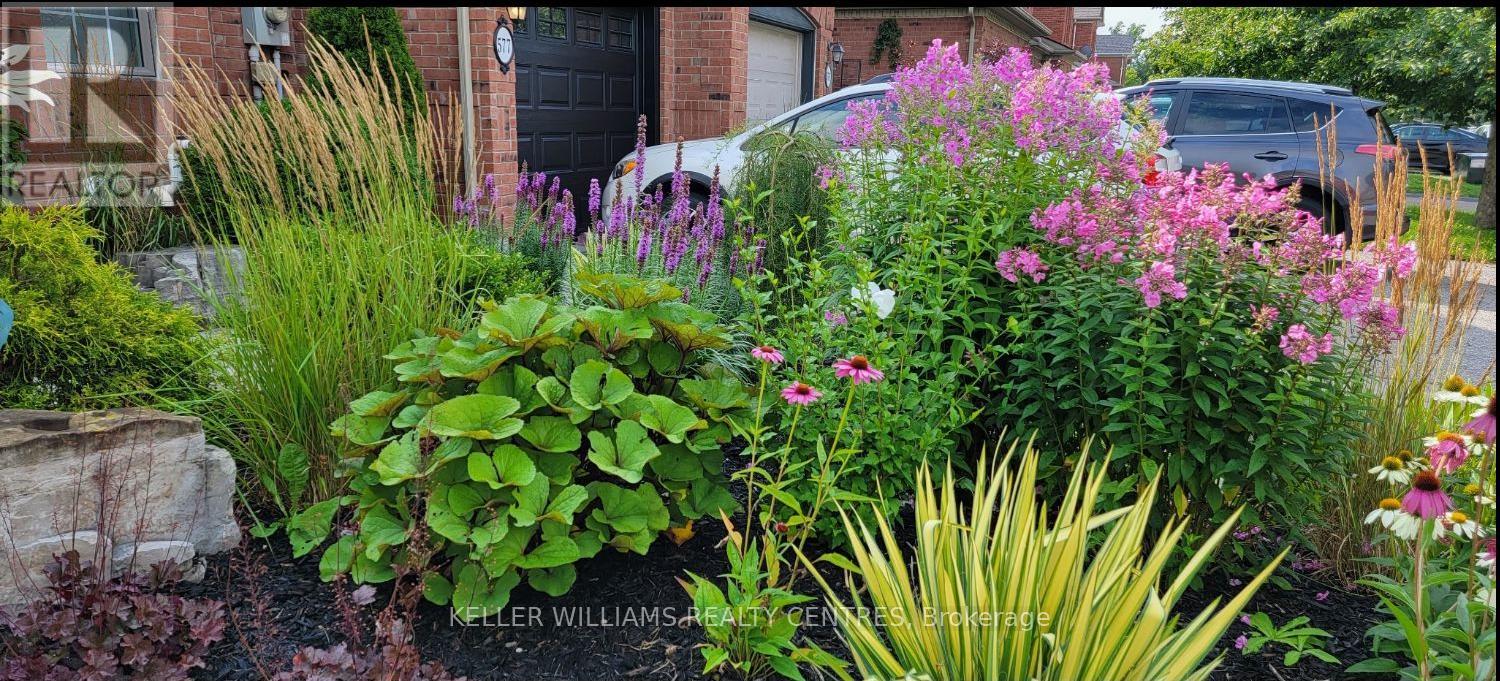 577 Osler Court, Newmarket, Ontario  L3X 2P4 - Photo 39 - N12962824